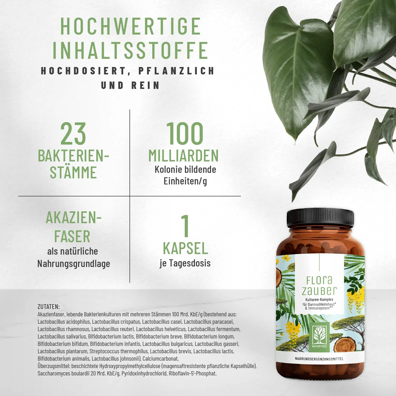 30 Tage Basis-Routine Paket: Grundversorgung mit unseren Allroundern - Image 5