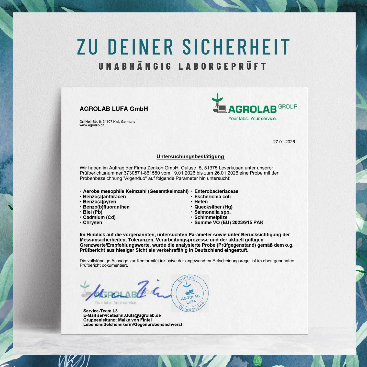 Algenduo: Bio-Chlorella und Bio-Spirulina - Image 8