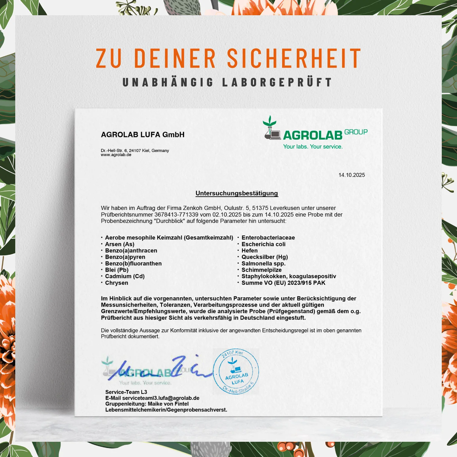 Durchblick: Augenvitamine mit Lutein und Vitamin A - Image 7