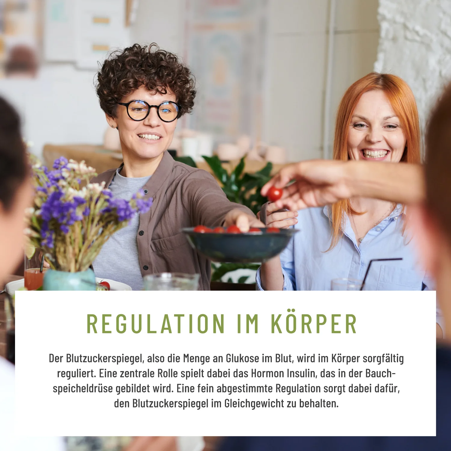 Blutzucker: Komplex mit Zimt, Inositol & Olivenblatt - Image 4