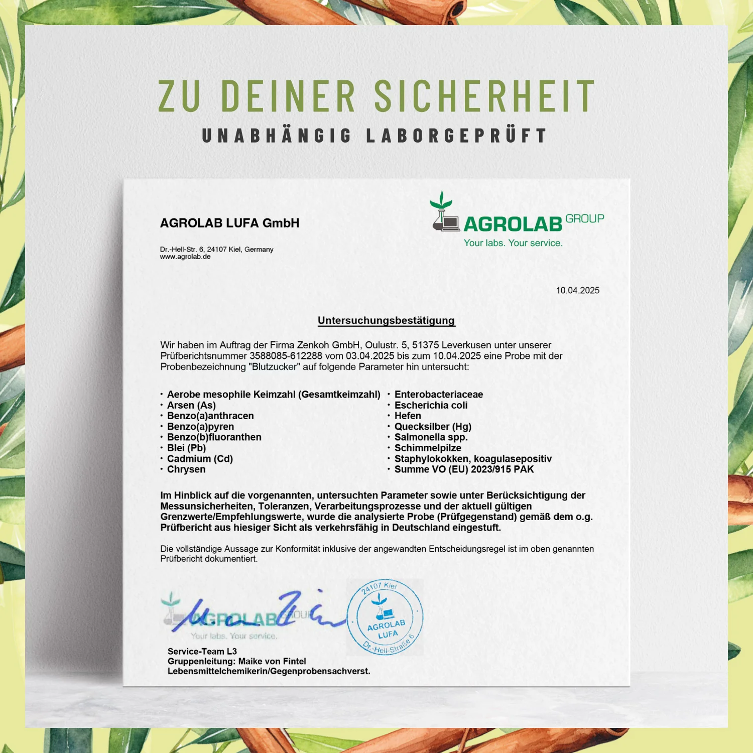 Blutzucker: Komplex mit Zimt, Inositol & Olivenblatt - Image 8