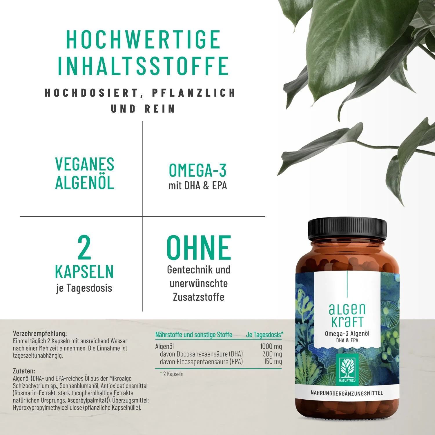 Durchstarter Paket: Magnesium & Vitamin B-Komplex & Omega-3 - Image 4