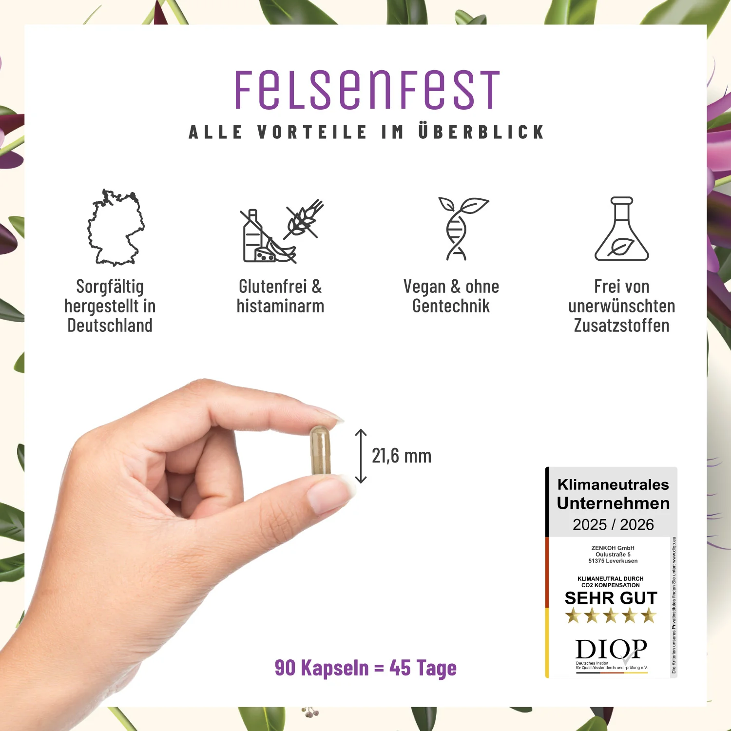 Felsenfest: Johanniskraut Baldrian Passionsblume Komplex - Image 6