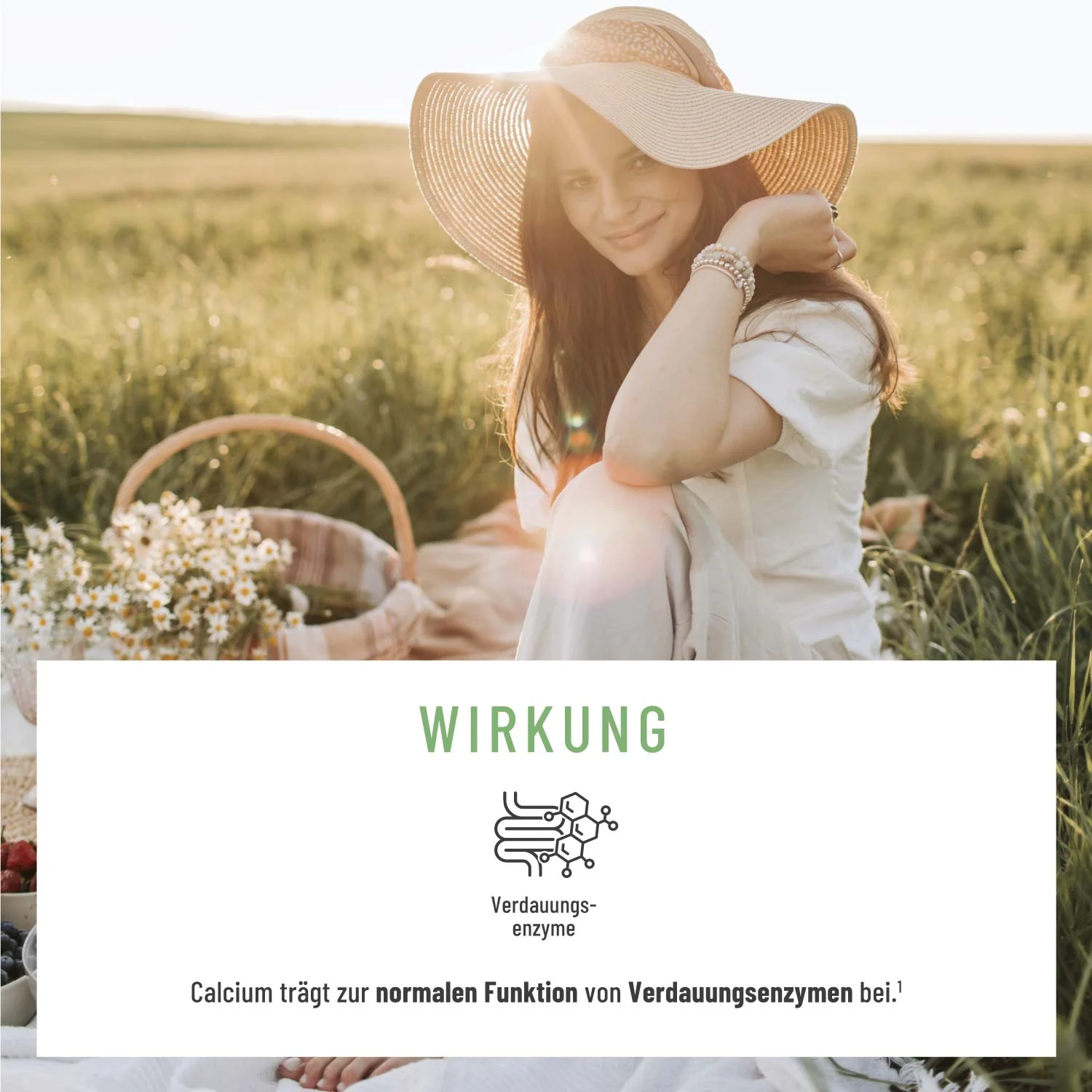 Florasamen: Verdauungs-Komplex* - Image 4