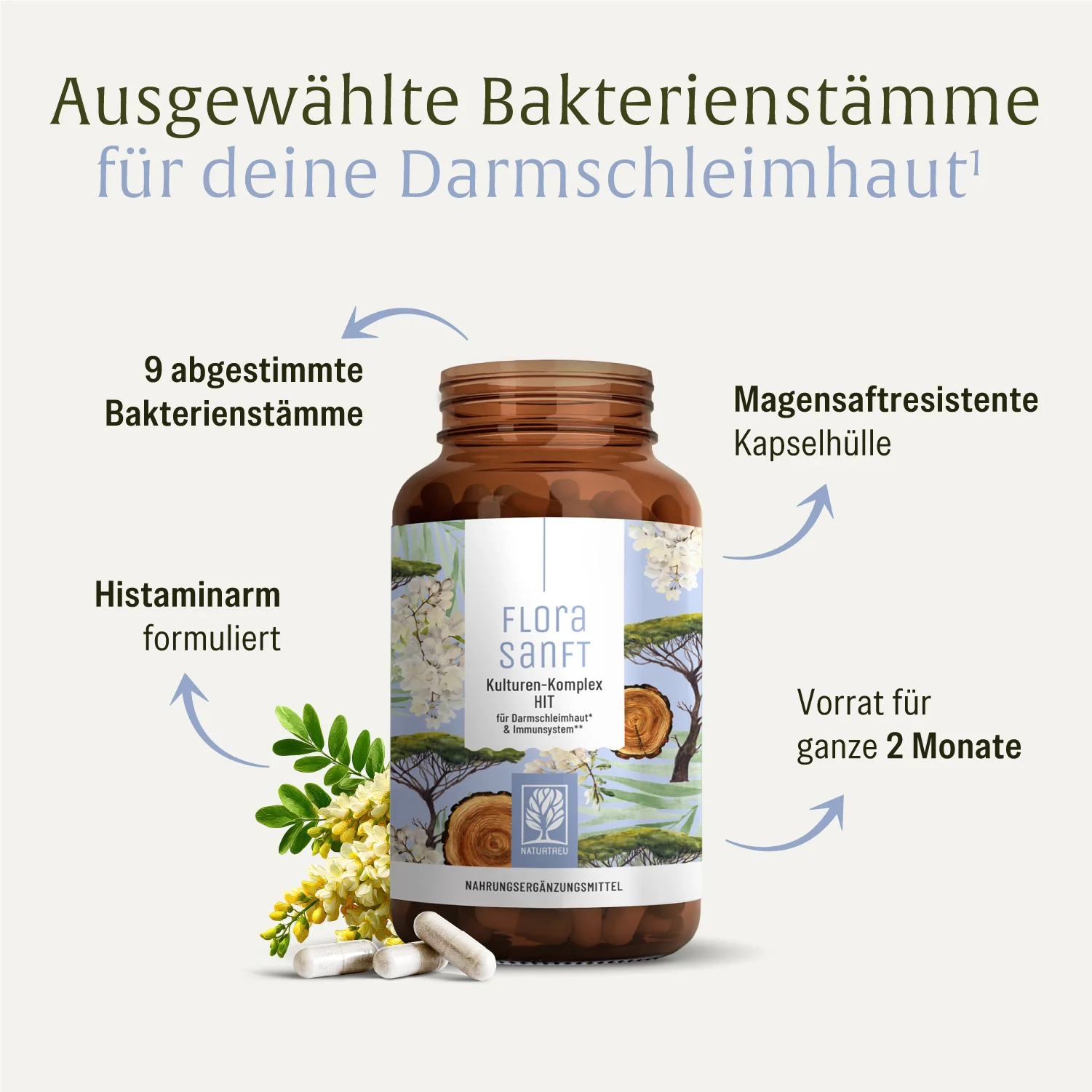 Florasanft: Kulturen-Komplex HIT - Image 3