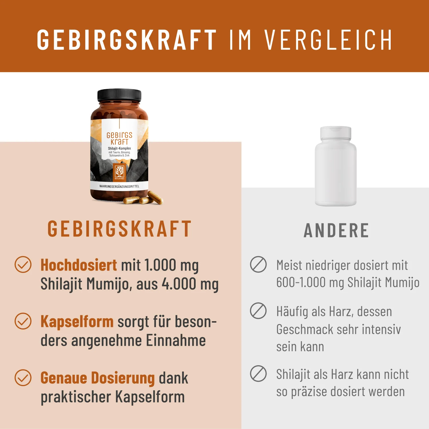 Gebirgskraft: Shilajit Kapseln mit Taurin, Ginseng, Schisandra & Zink - Image 5