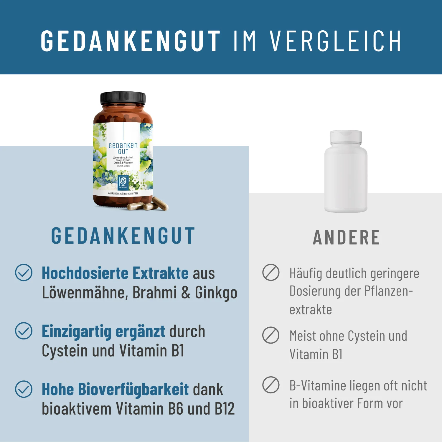 Gedankengut: Löwenmähne, Brahmi, Ginkgo, Cystein, Cholin & B-Vitamine - Image 5