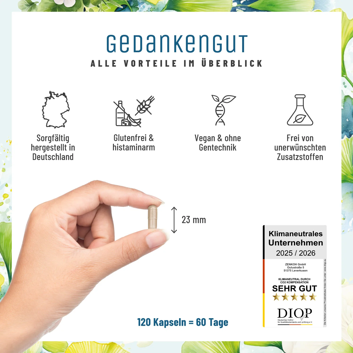 Gedankengut: Löwenmähne, Brahmi, Ginkgo, Cystein, Cholin & B-Vitamine - Image 8