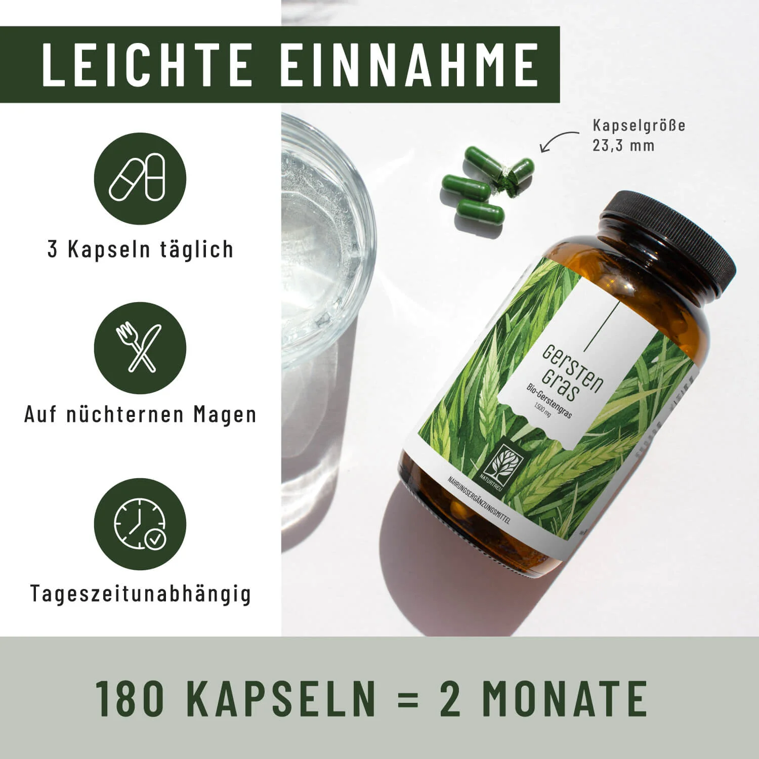 Gerstengras: Bio-Gerstengras - Image 6