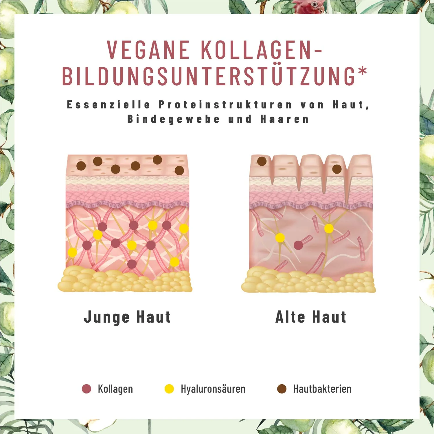 Haut Haare Nägel-Paket: Zauberhaft, Glanzleistung & Glanzvoll - Image 6