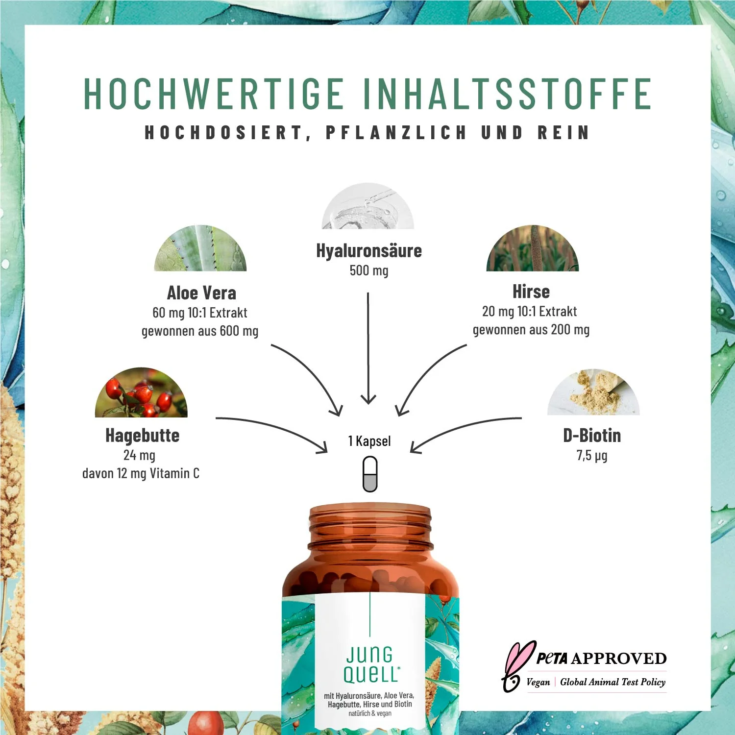 Haut und Haar Paket: Hyaluronsäure & Haarwurzel-Komplex - Image 3
