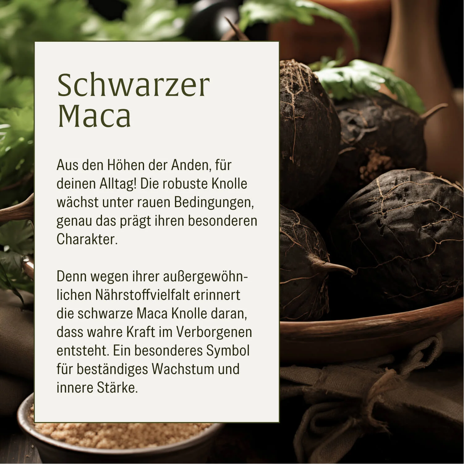 Heldenkraft: Maca-Komplex mit Tribulus - Image 7