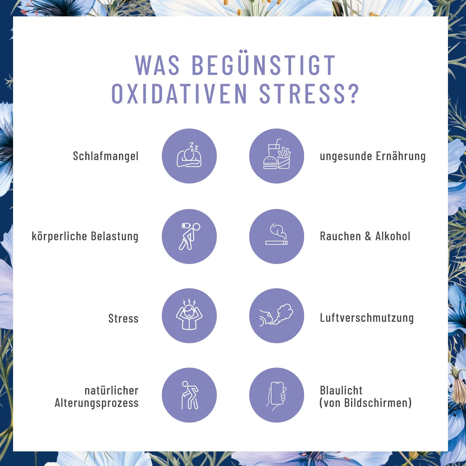 HIT Duo Paket: Diaminoxidase-Komplex & Schwarzkümmel - Image 4