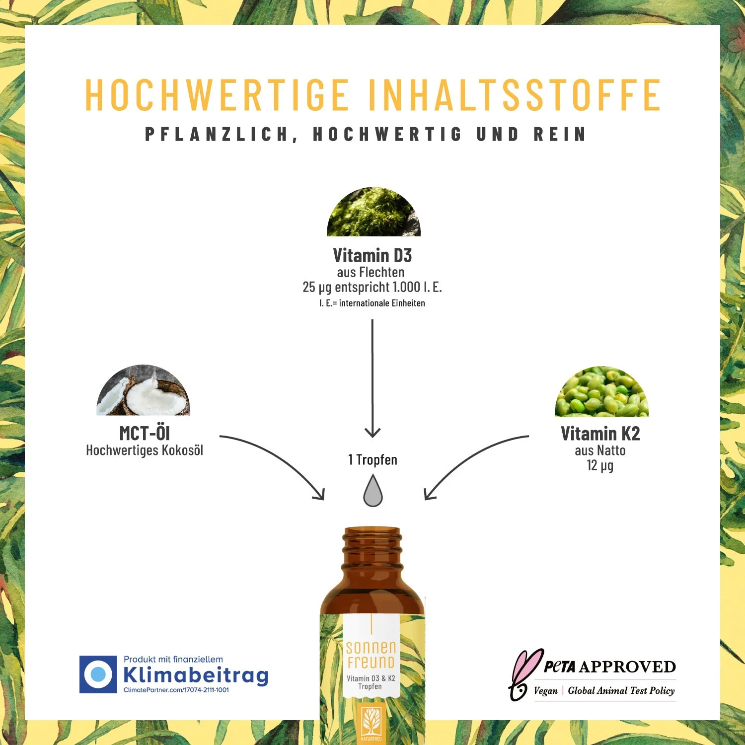 Immunsystem-Paket*: Schutzschild, Sonnenfreund & Flammengarde - Image 3