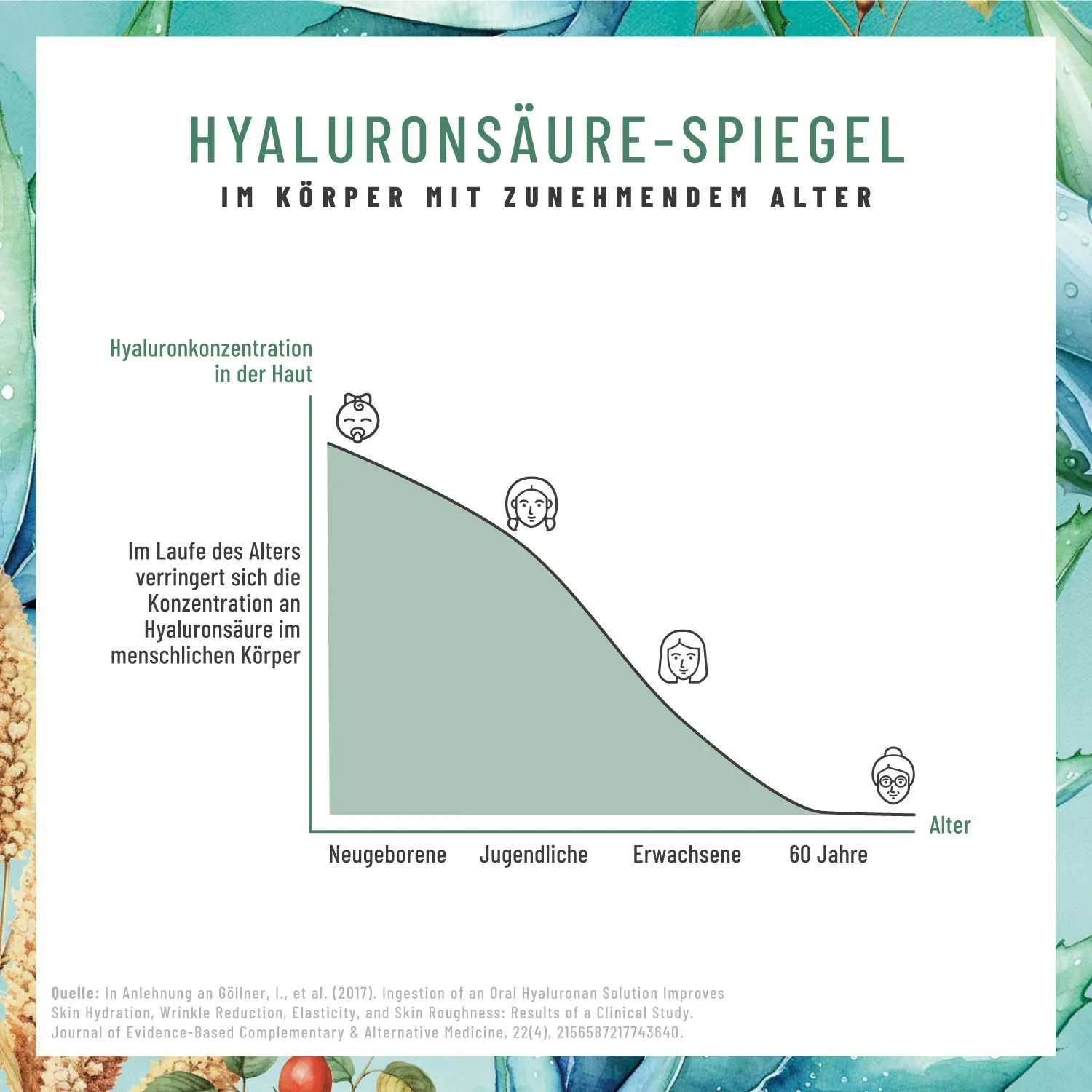 Jungquell: Hyaluronsäure, Aloe Vera, Hagebutte & Biotin - Image 7