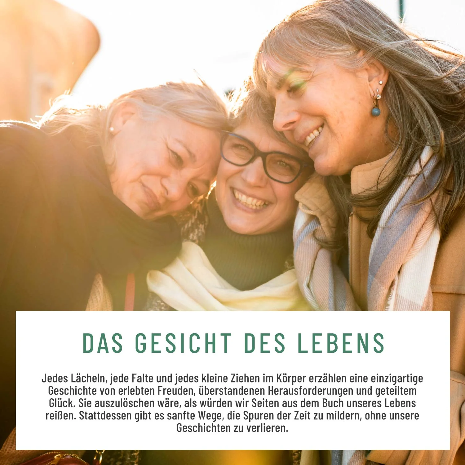 Jungquell: Hyaluronsäure, Aloe Vera, Hagebutte & Biotin - Image 8