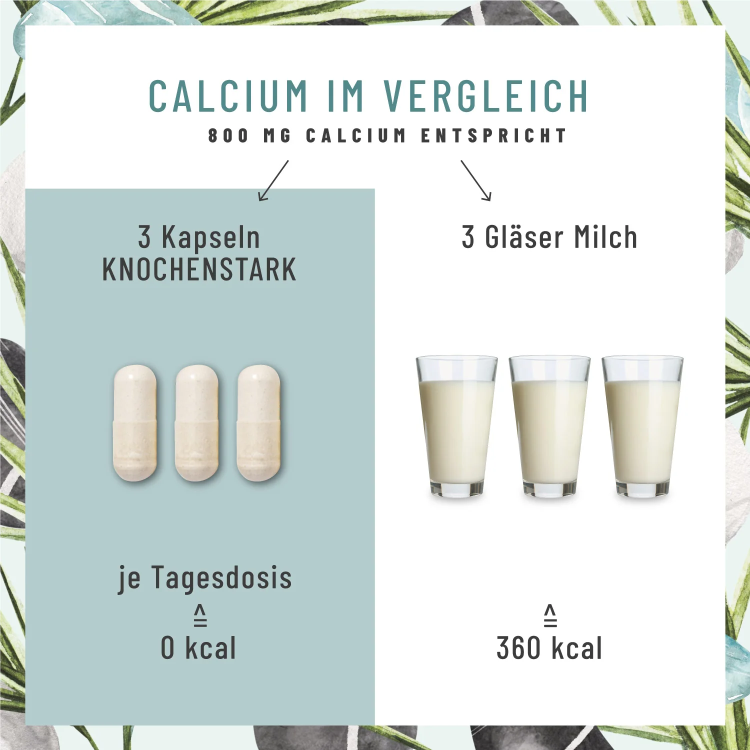Knochenstark: Calcium Kapseln mit Vitamin C - Image 7
