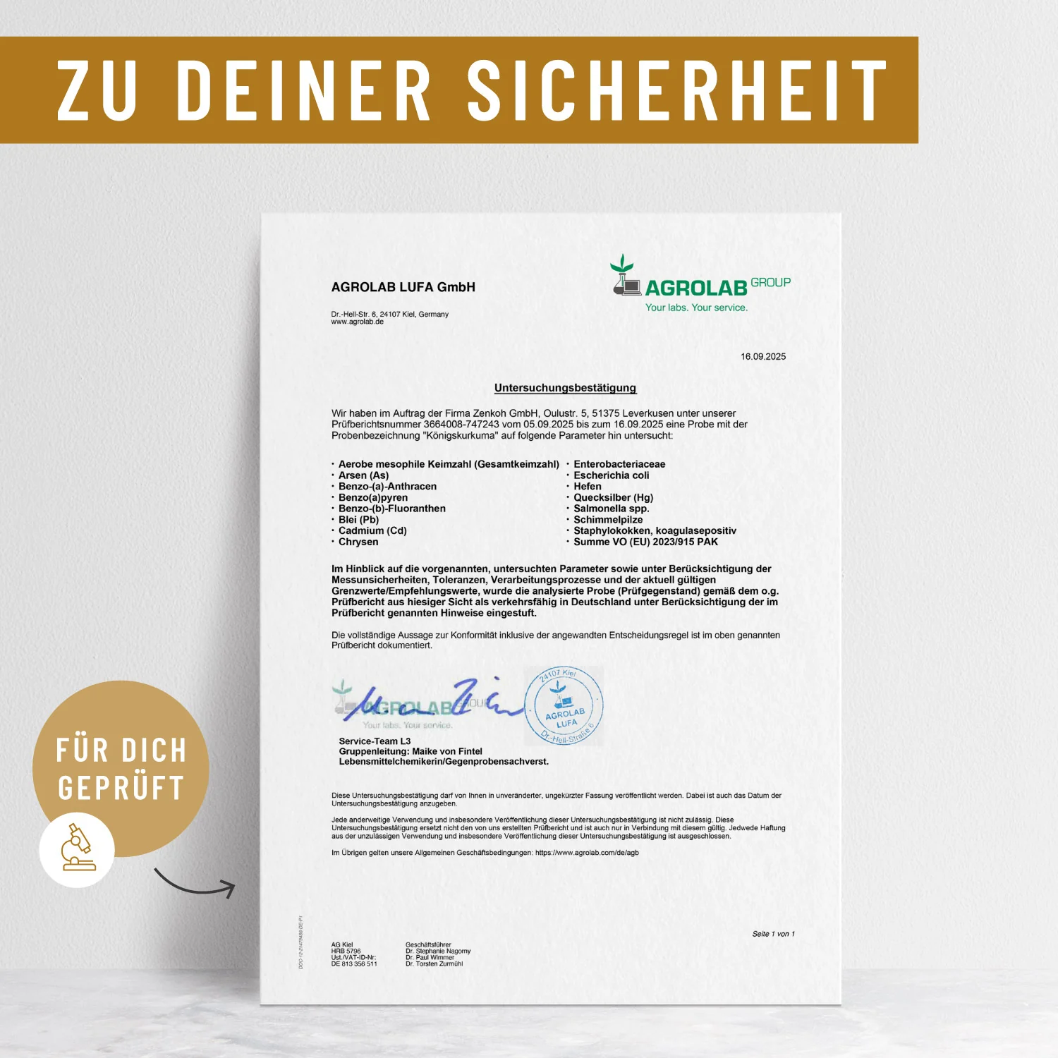 Königskurkuma: Curcuma Komplex - Image 10