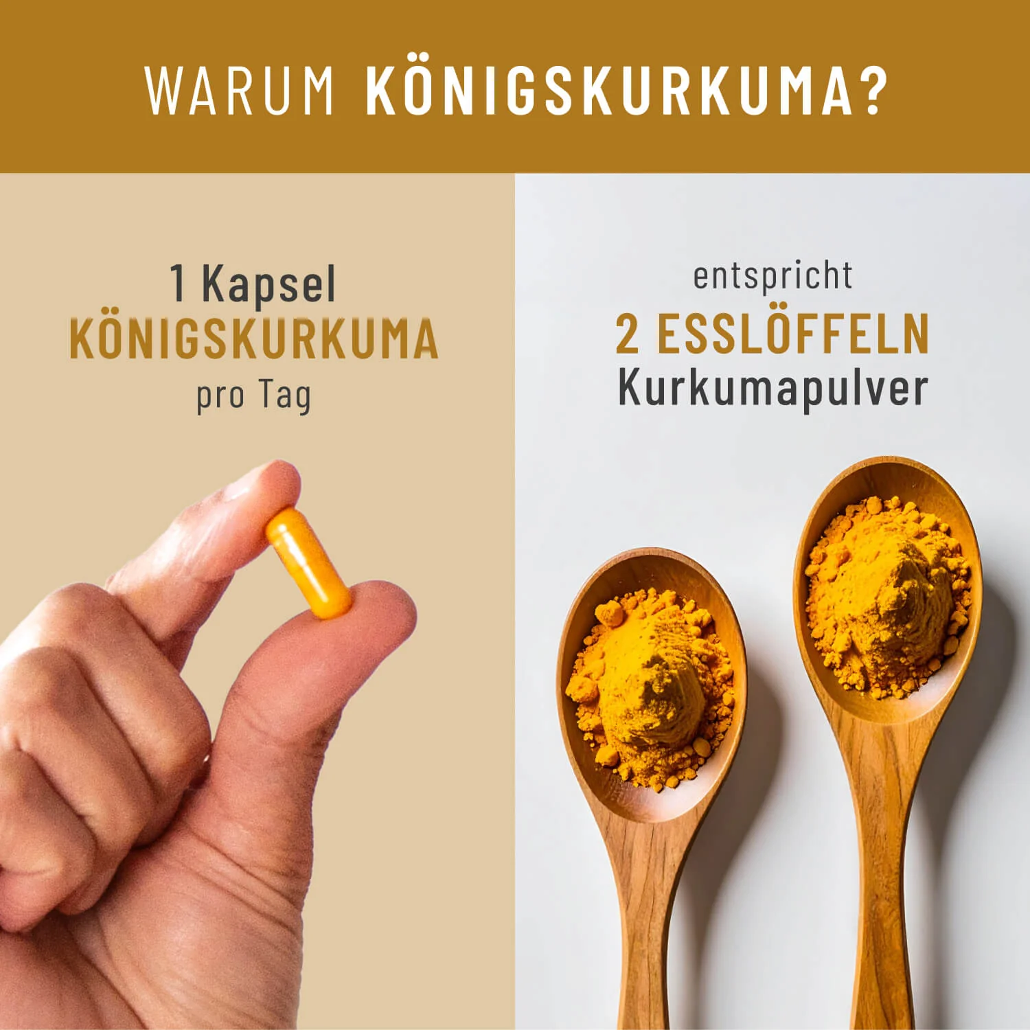 Königskurkuma: Curcuma Komplex - Image 7