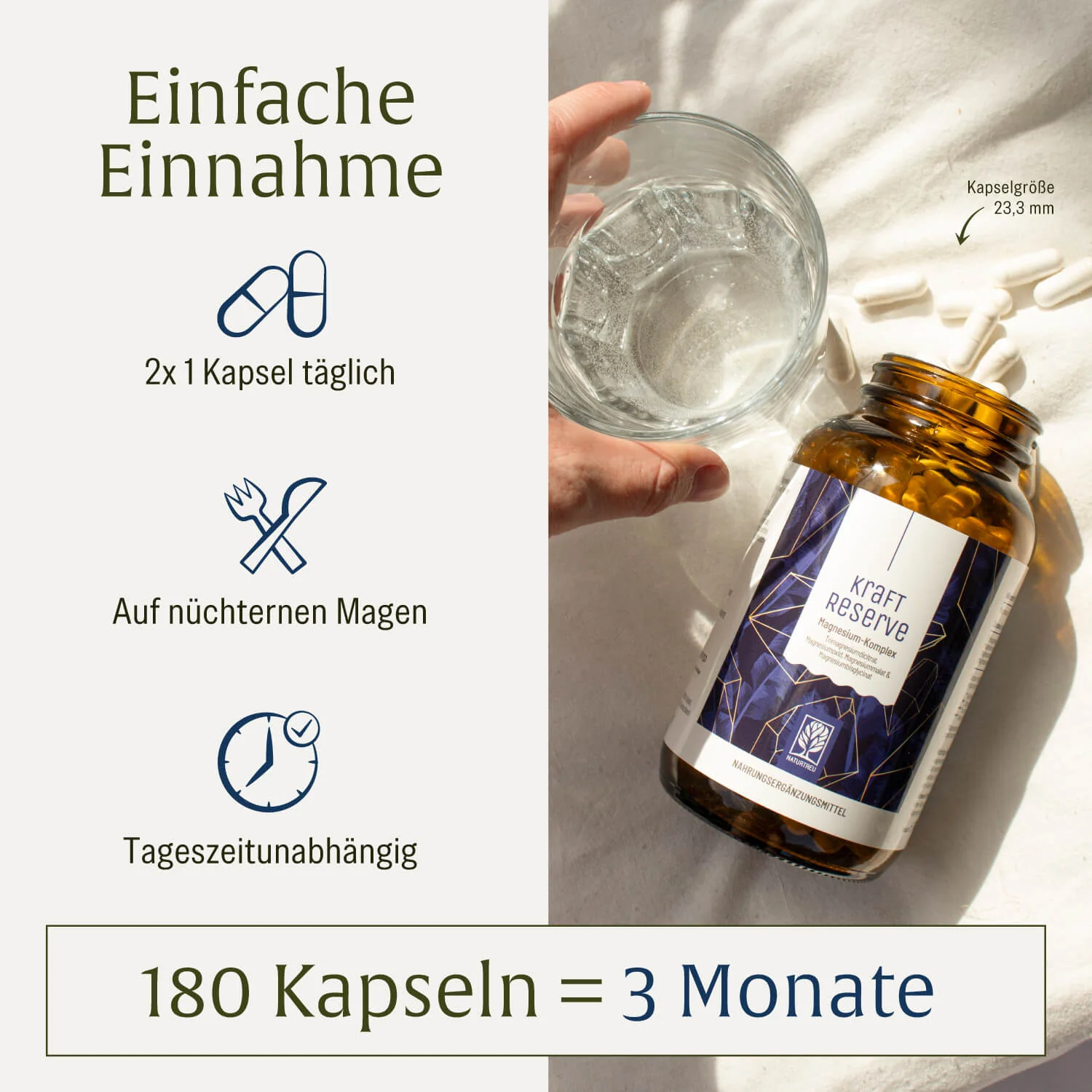 Kraftreserve: Magnesium-Komplex hochdosiert - Image 6