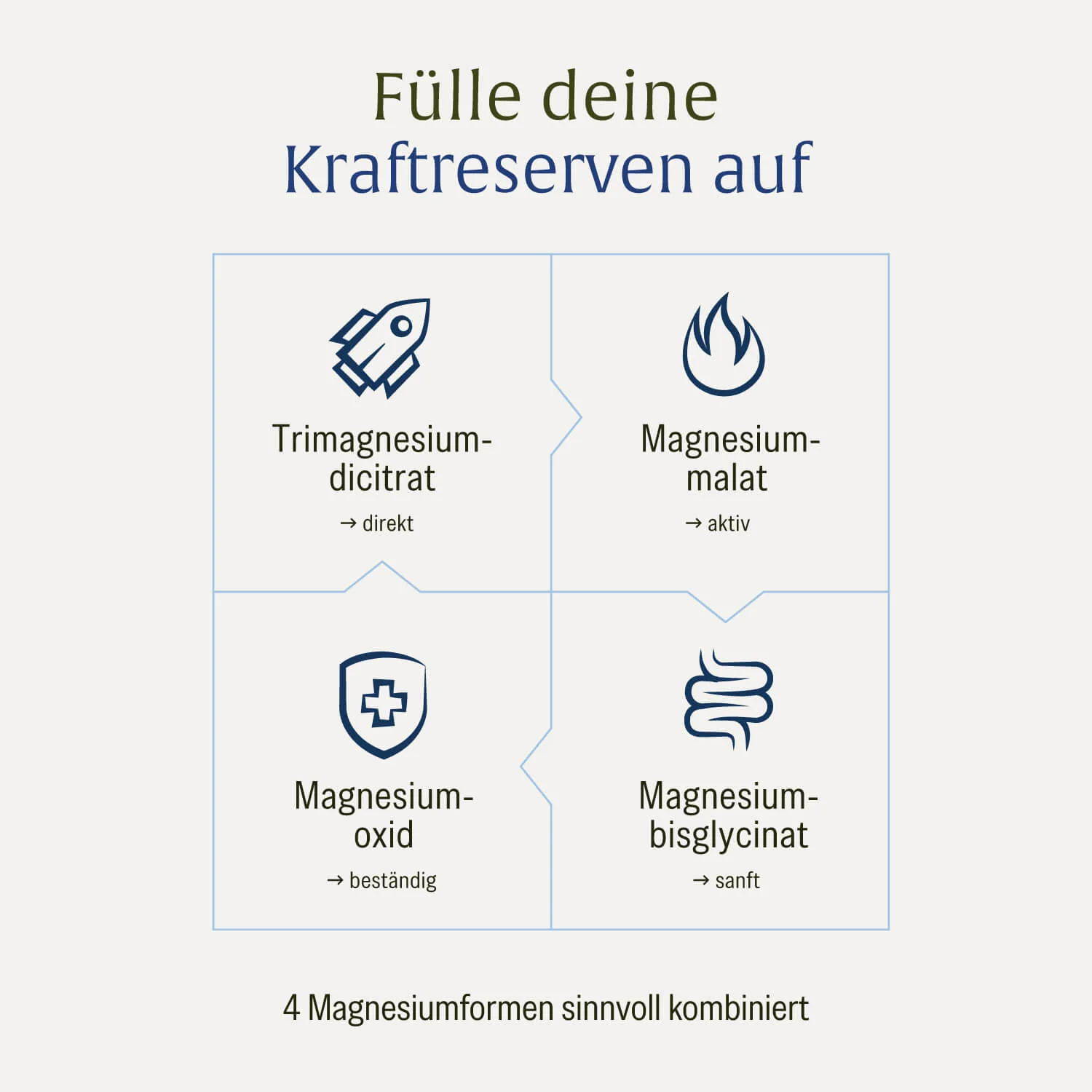 Kraftreserve: Magnesium-Komplex hochdosiert - Image 7
