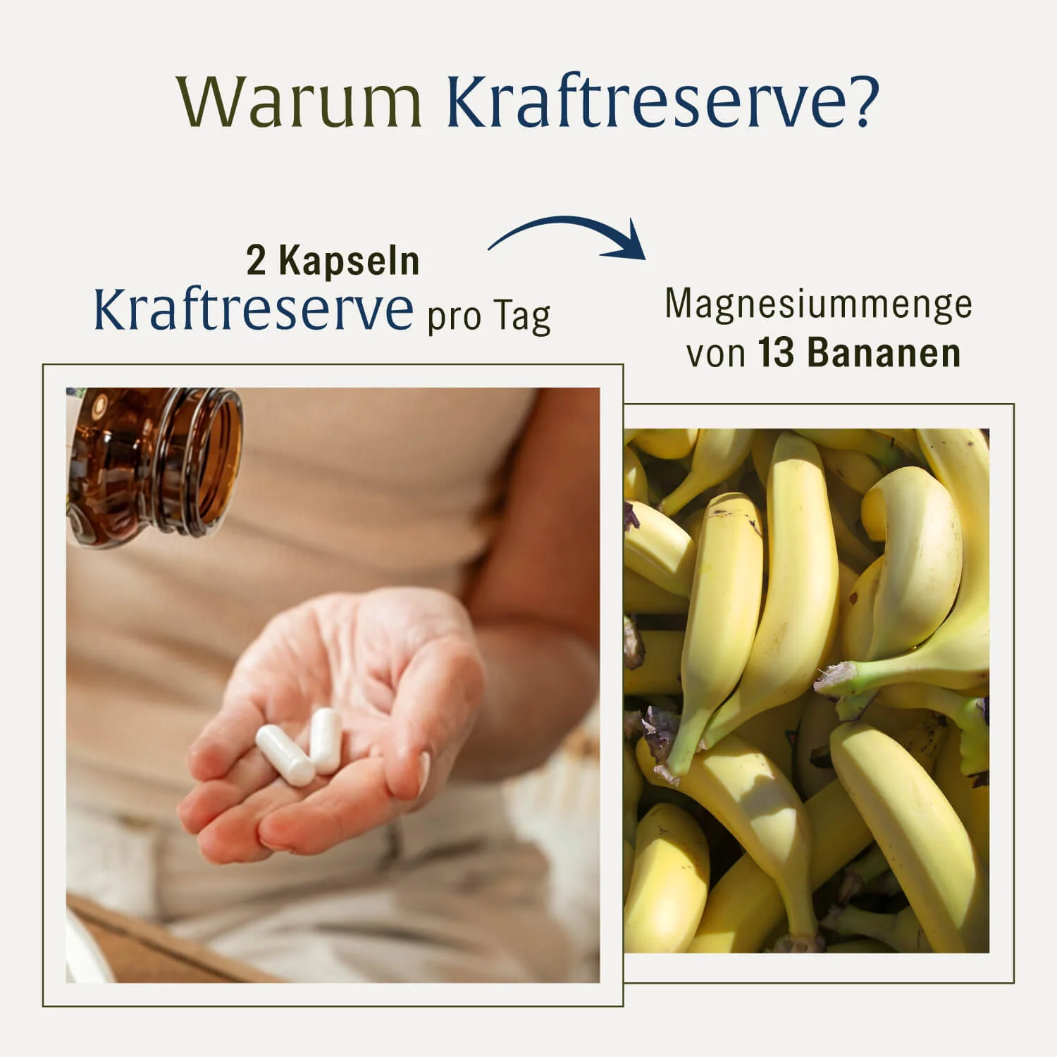 Kraftreserve: Magnesium-Komplex hochdosiert - Image 8