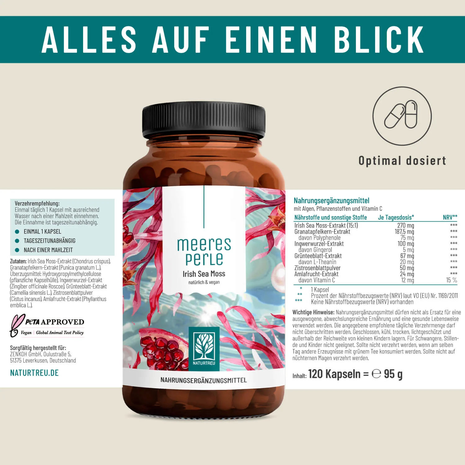 Meeresperle: Irish Sea Moss - Image 12