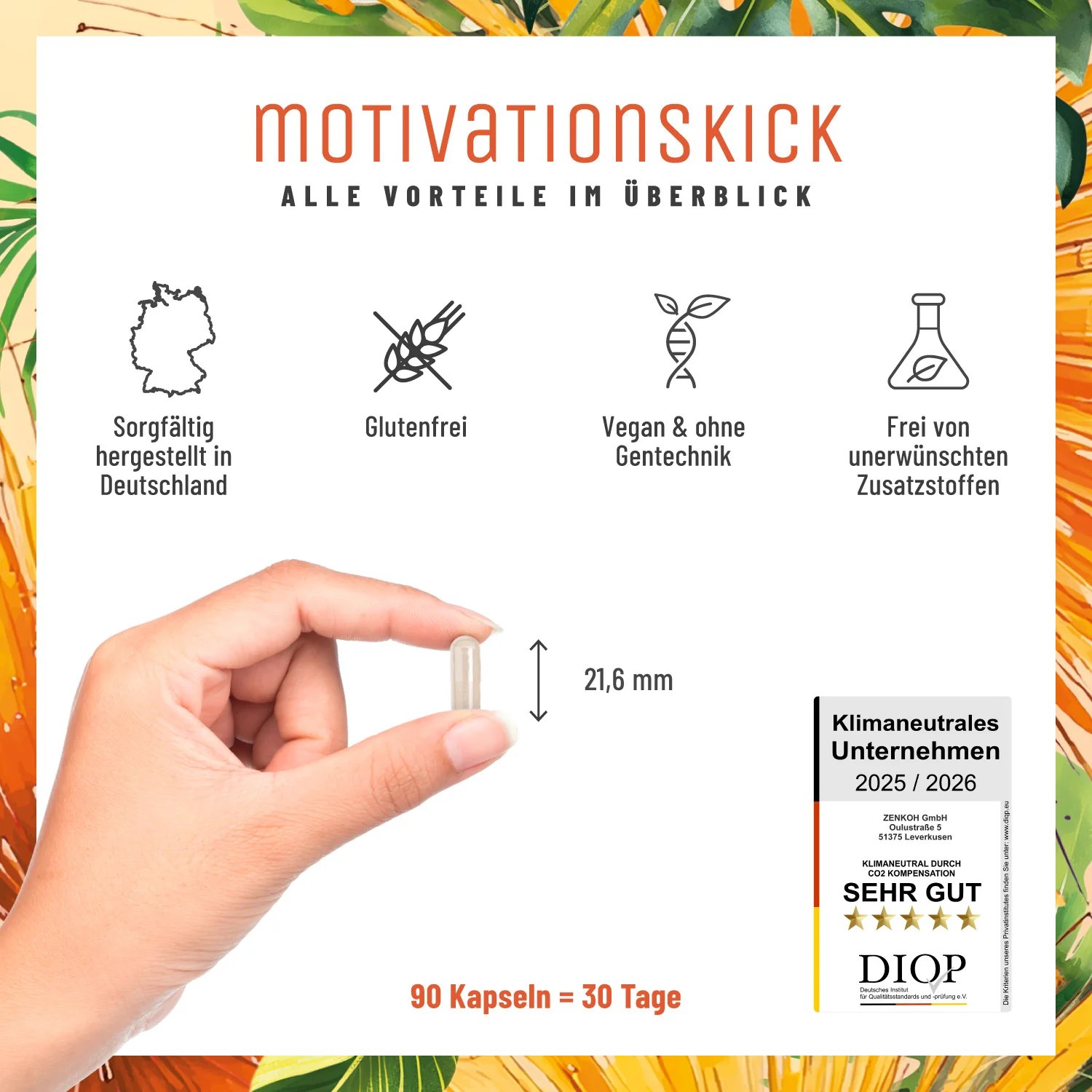 Motivationskick: L-Tyrosin-Komplex mit L-Tryptophan & L-Phenylalanin - Image 7