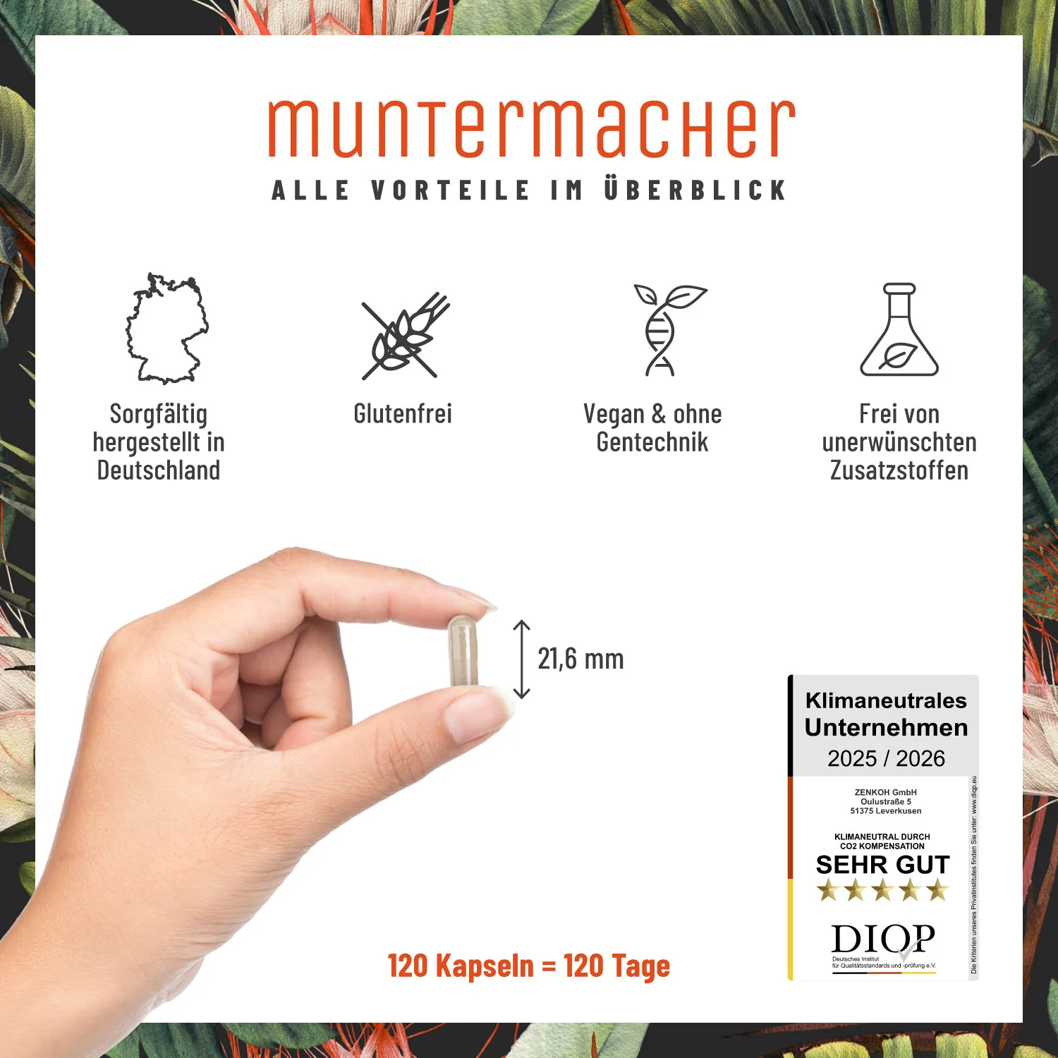 Muntermacher: Koffein-Komplex mit Guarana & Mate - Image 7