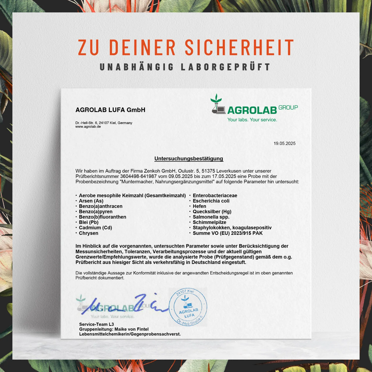 Muntermacher: Koffein-Komplex mit Guarana & Mate - Image 8