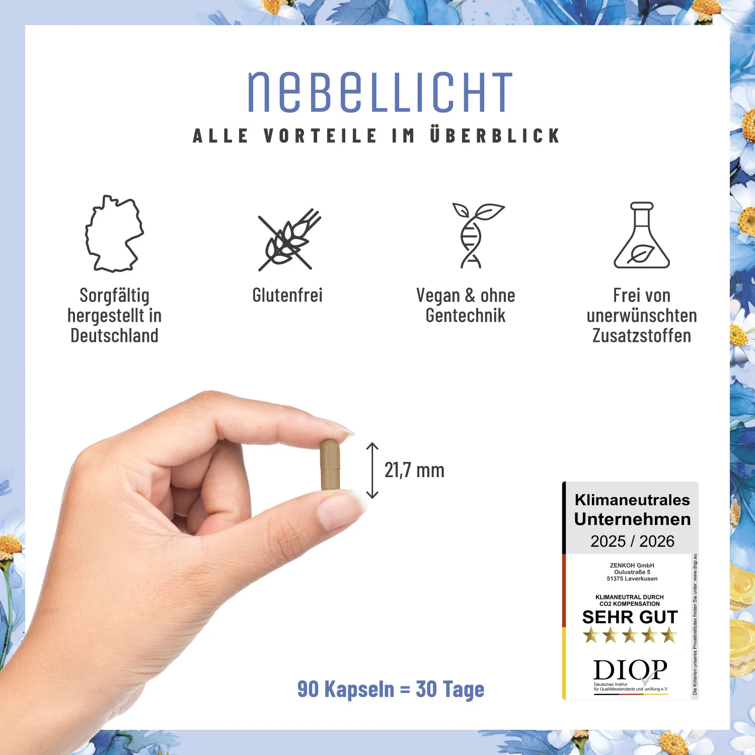 Nebellicht: Mutterkraut Kapseln mit Magnesium, Ingwer & Q10 - Image 7