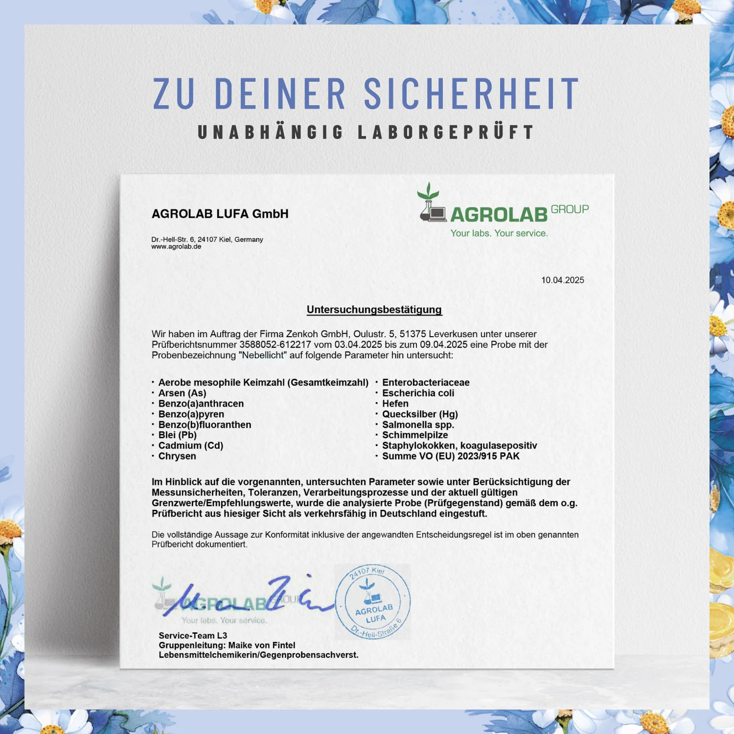 Nebellicht: Mutterkraut Kapseln mit Magnesium, Ingwer & Q10 - Image 8