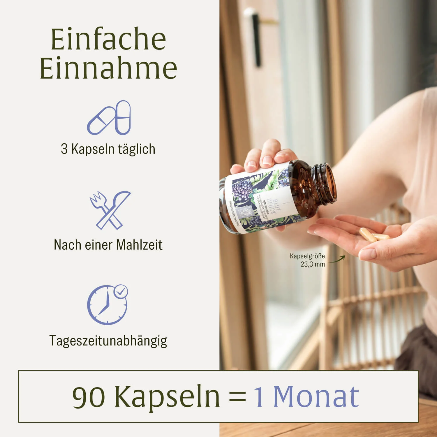 Blutdruck: OPC-Komplex mit Q10, Kalium und Knoblauch - Image 7