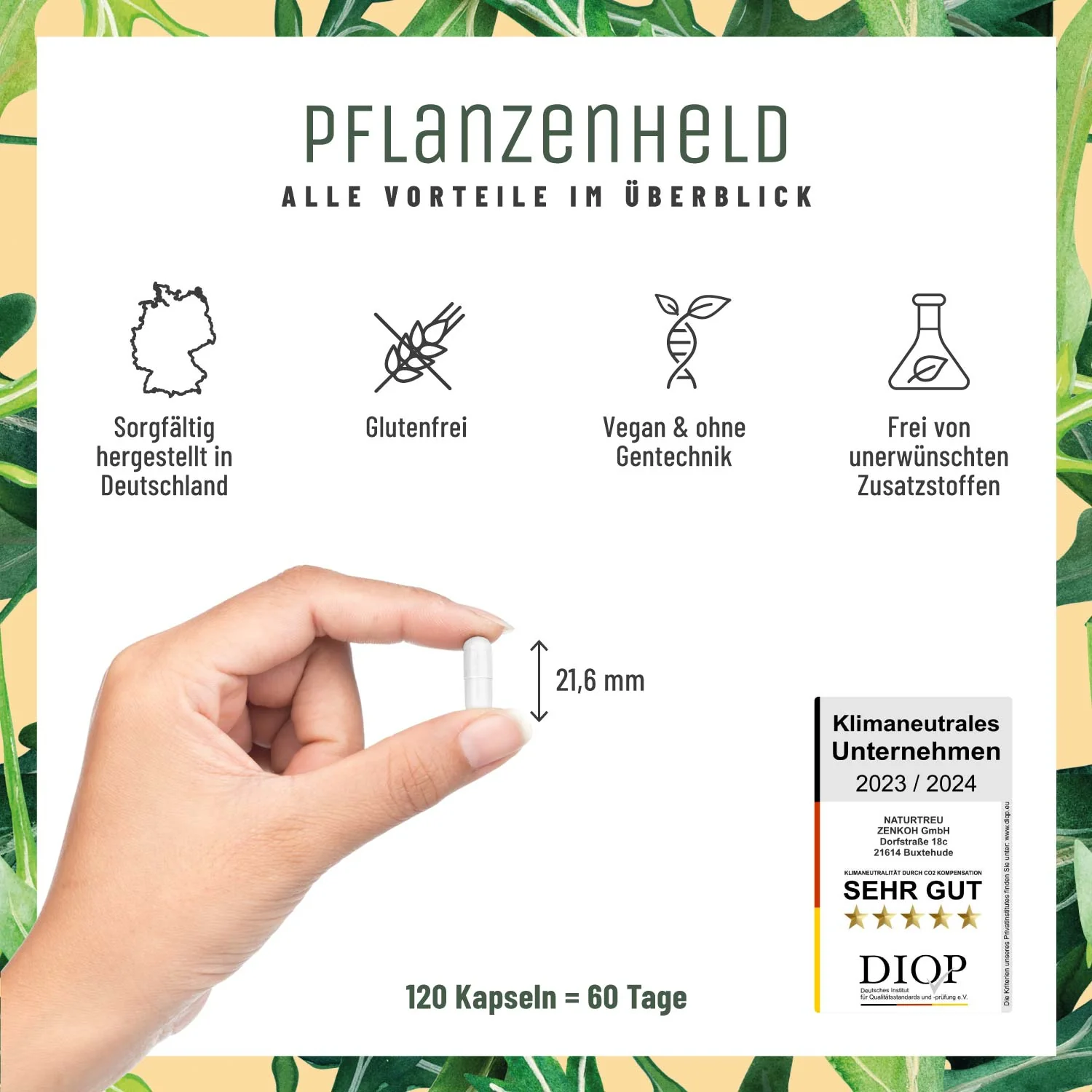 Pflanzenheld: Mikronährstoff-Komplex für Veganer & Vegetarier - Image 6