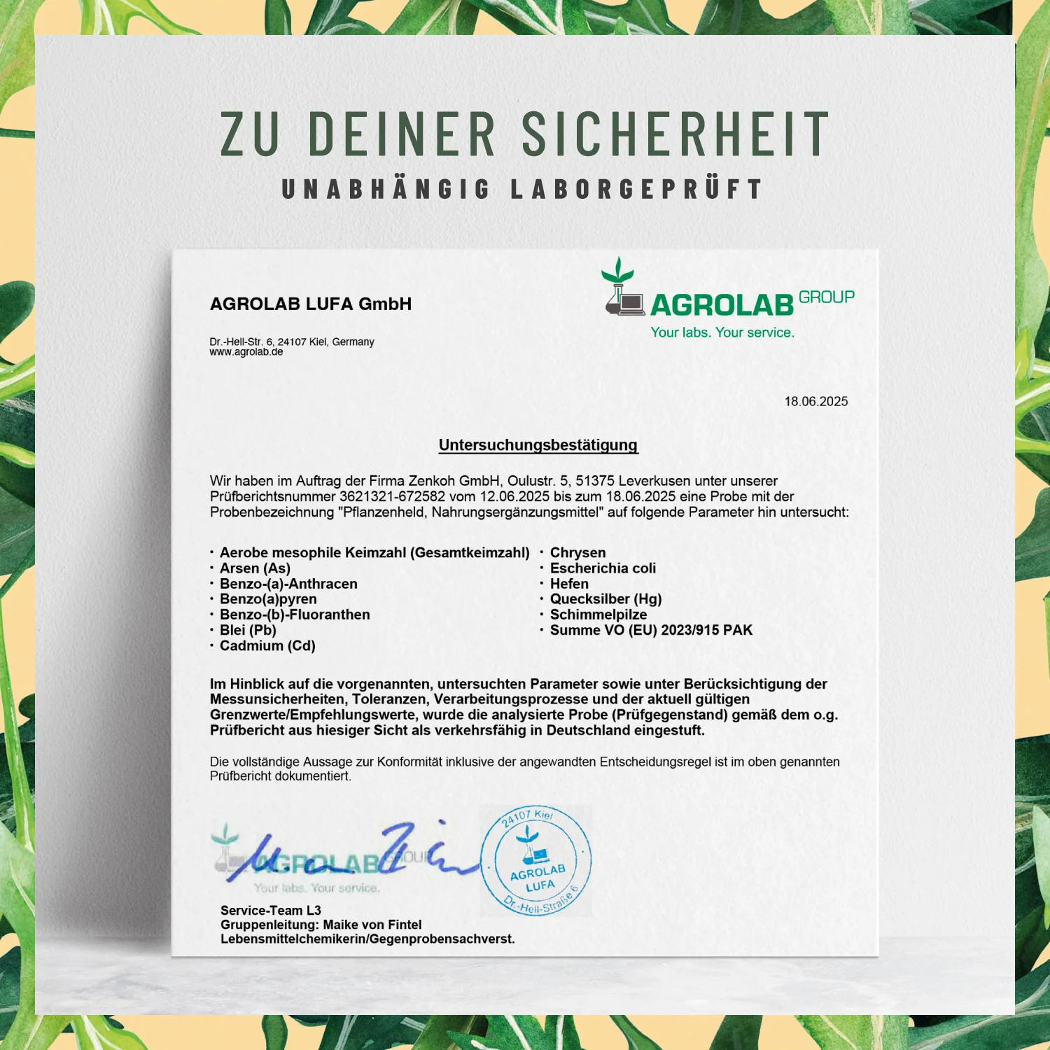 Pflanzenheld: Mikronährstoff-Komplex für Veganer & Vegetarier - Image 7