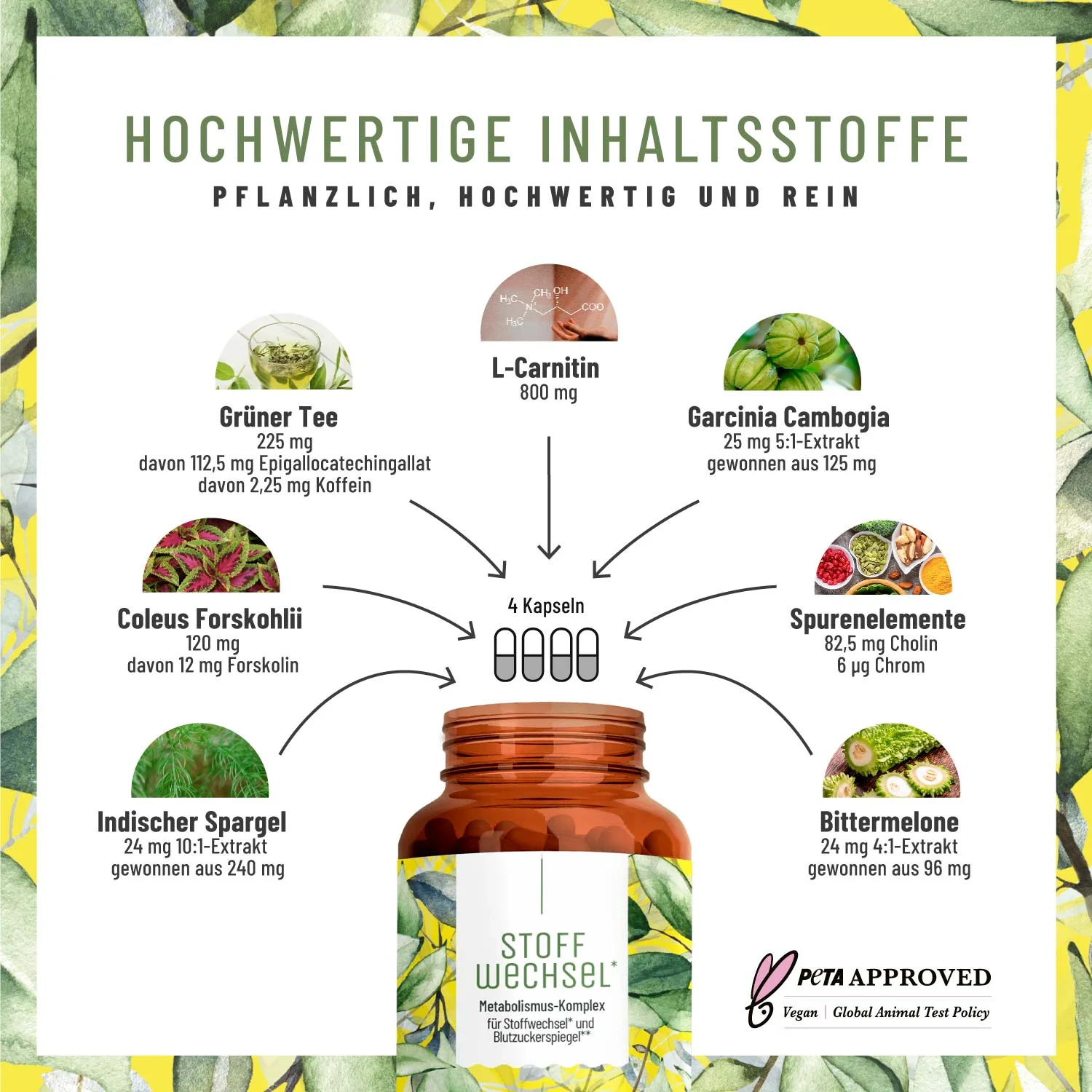 Fettstoffwechsel* Paket - Image 3