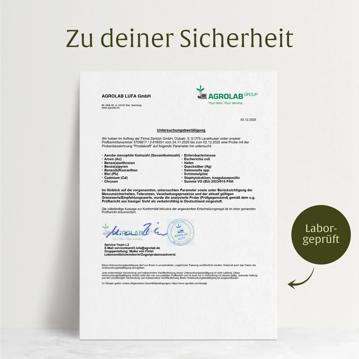 Prostakraft: Sägepalmen-Komplex mit Kürbis, Traubenkern, Brennnessel, Vitamin E, Zink & Selen - Image 8