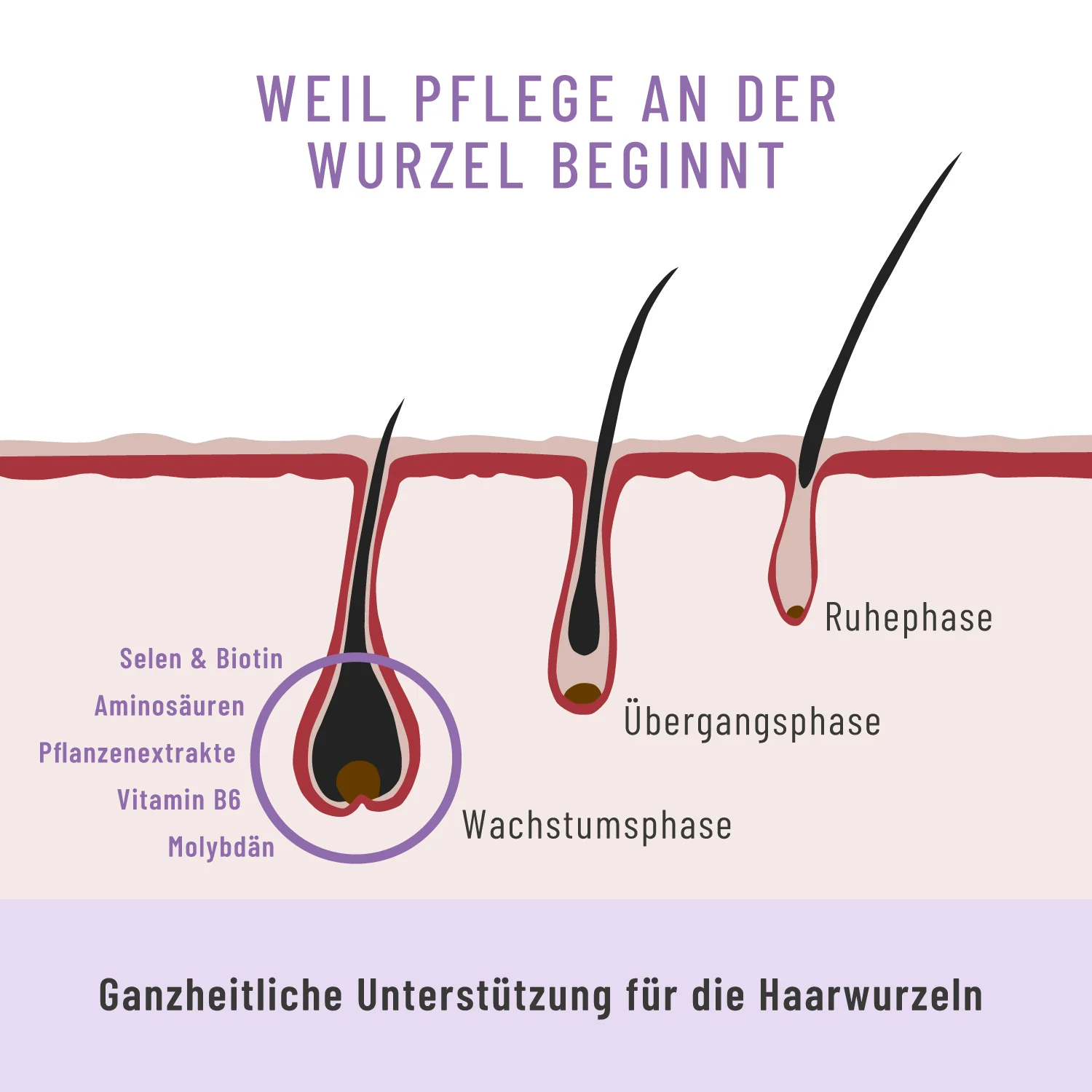 Rapunzelmähne: Haarwurzel-Komplex* mit Hirse, Gerstengras & Rosmarin - Image 7