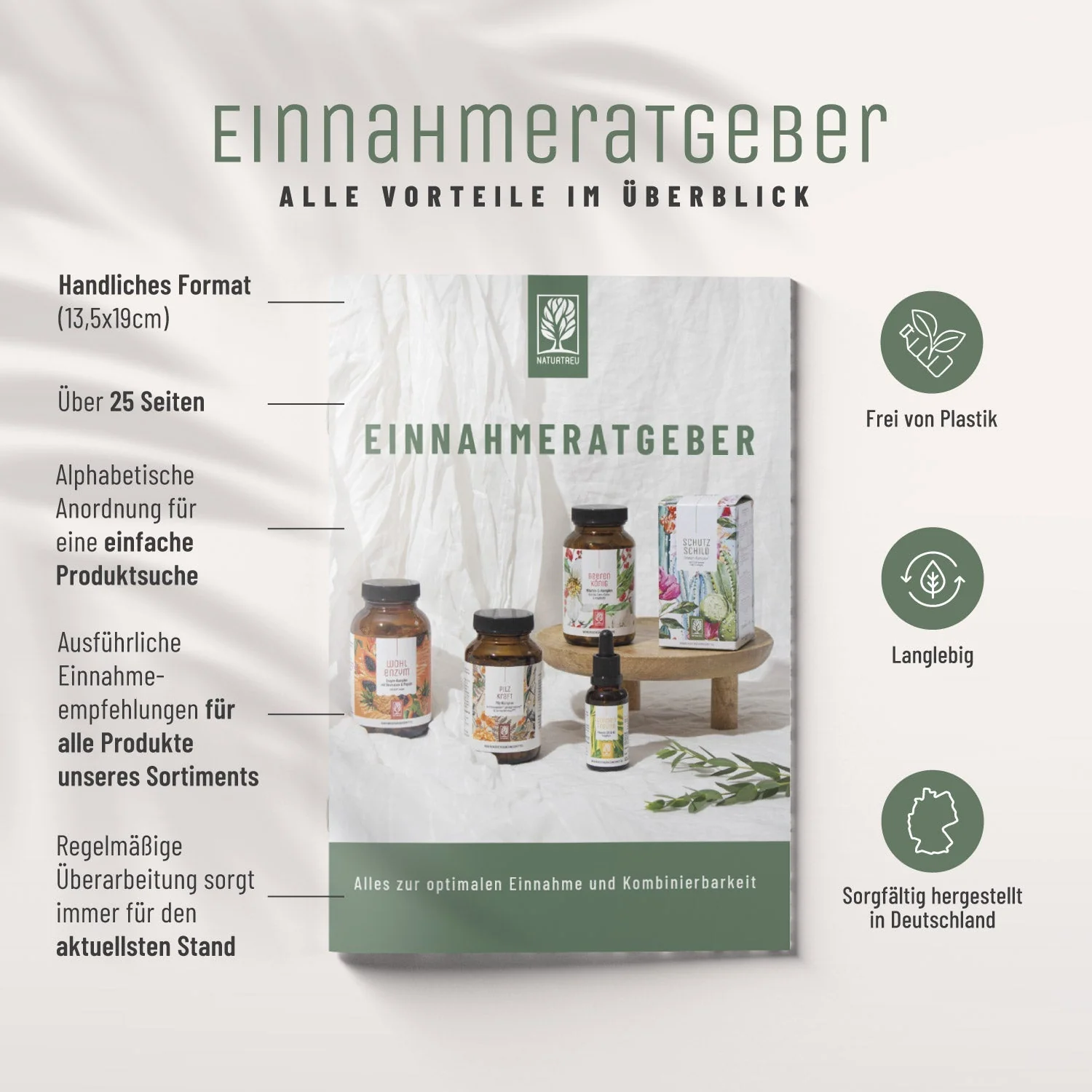 Routineholz-Paket zur perfekten Einnahme - Image 3