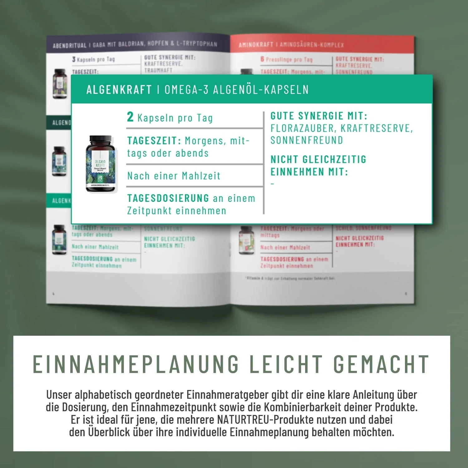 Routineholz-Paket zur perfekten Einnahme - Image 7