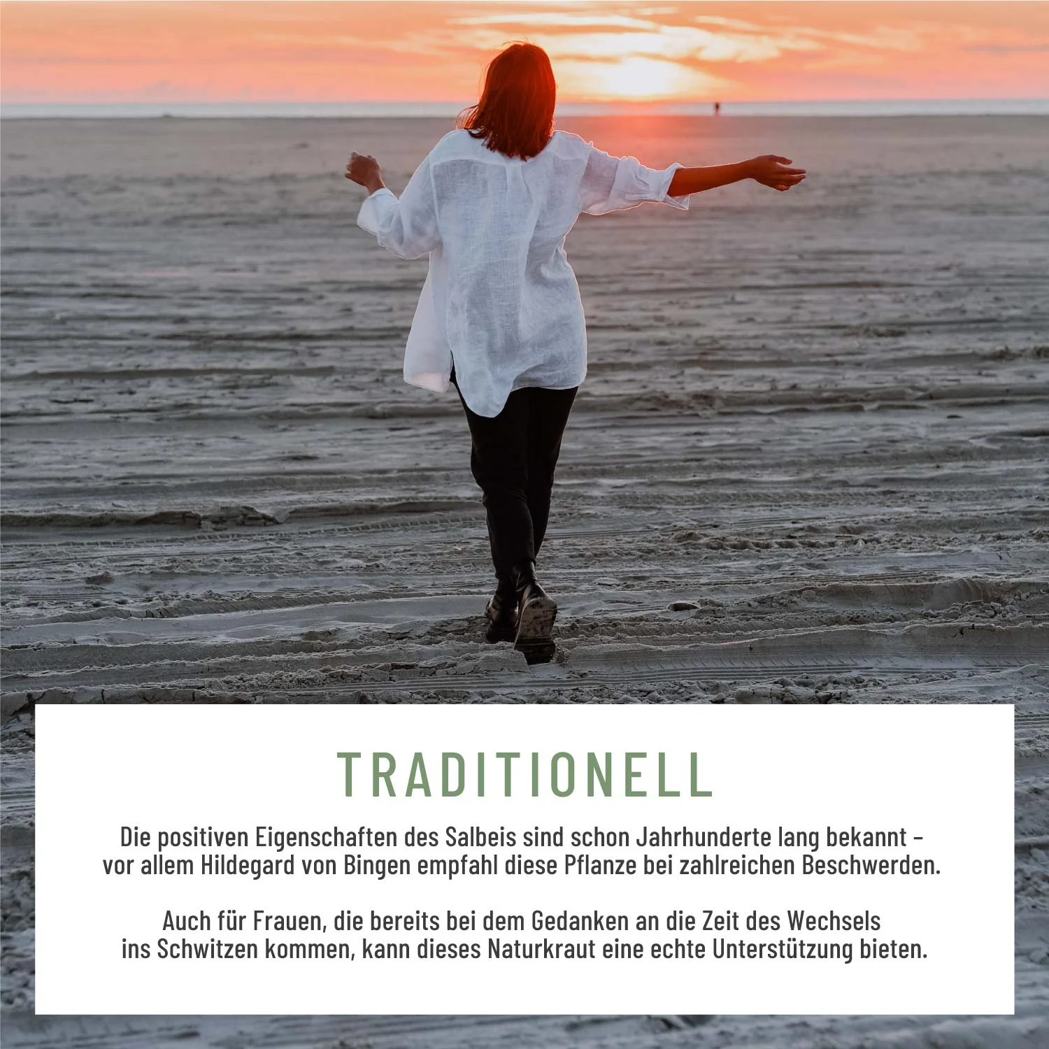 Salbeibrise: Hochdosierter Salbei-Extrakt - Image 4