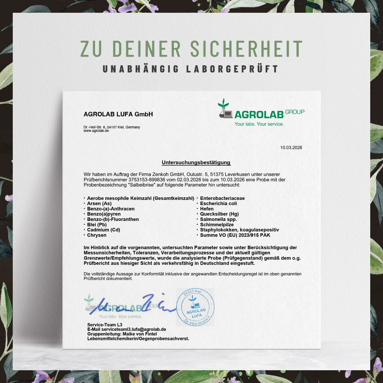 Salbeibrise: Hochdosierter Salbei-Extrakt - Image 8