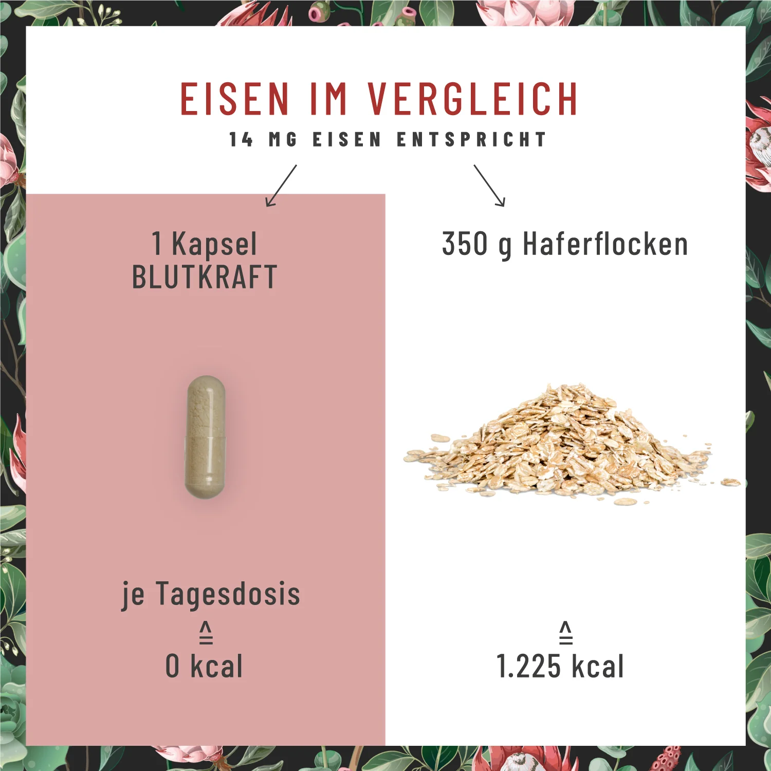 Blutkraft: Eisen-Komplex mit Fenchel & Cofaktoren - Image 6