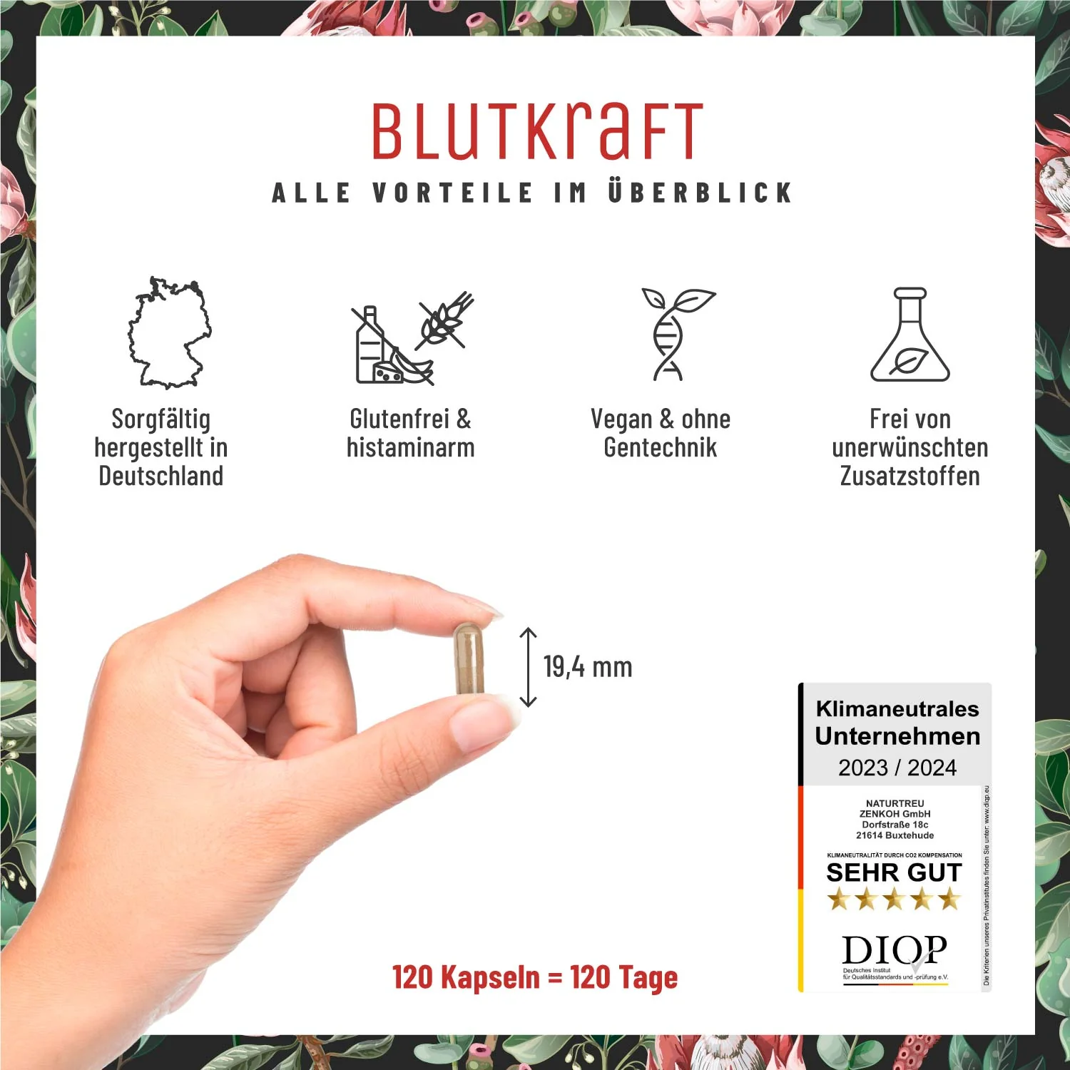 Blutkraft: Eisen-Komplex mit Fenchel & Cofaktoren - Image 7