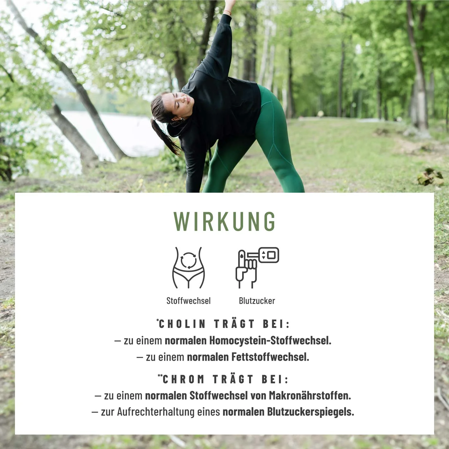 Sommerleicht Paket: Brennnesselblatt- und Metabolismus-Komplex - Image 4