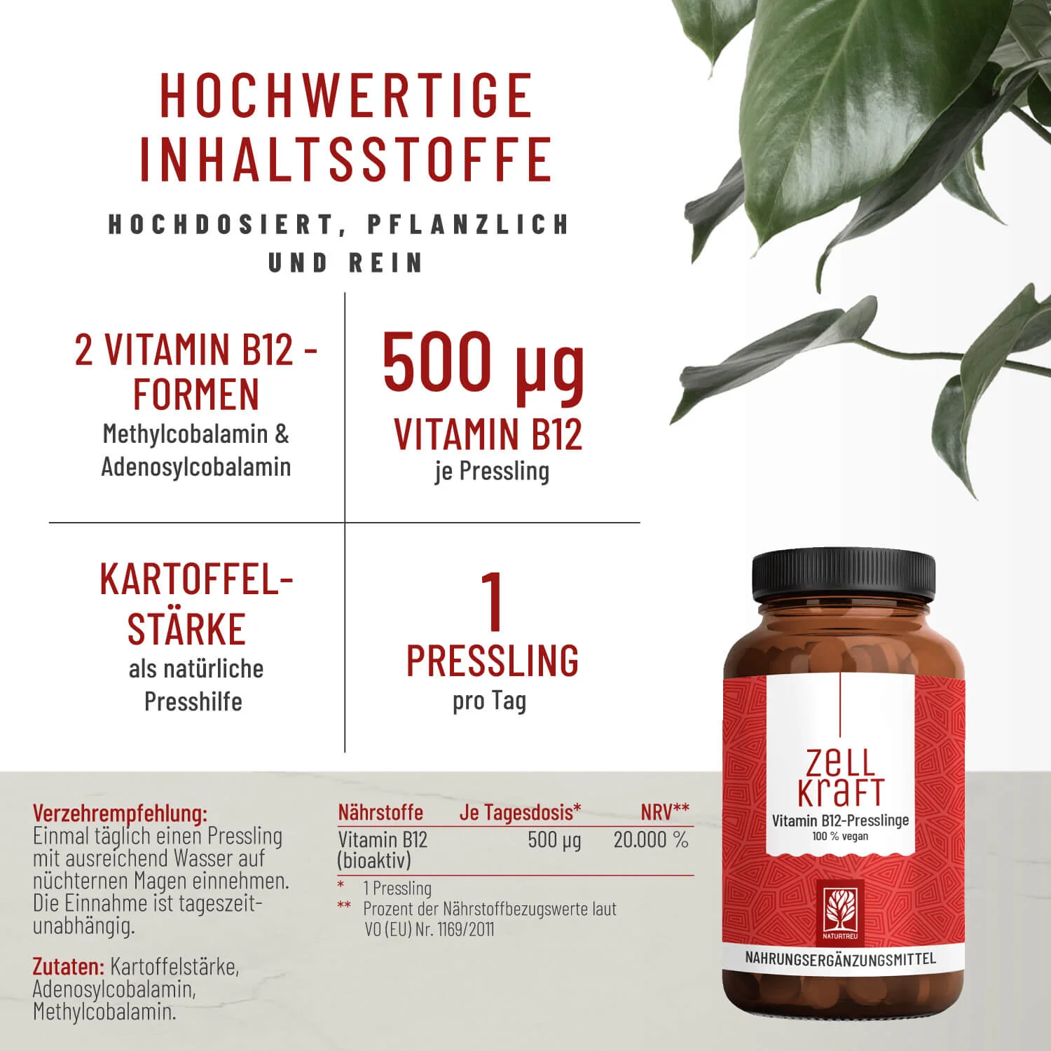 Sonnenkraft-Paket: Vitamin D3 K2, B12 & Magnesium-Komplex - Image 4