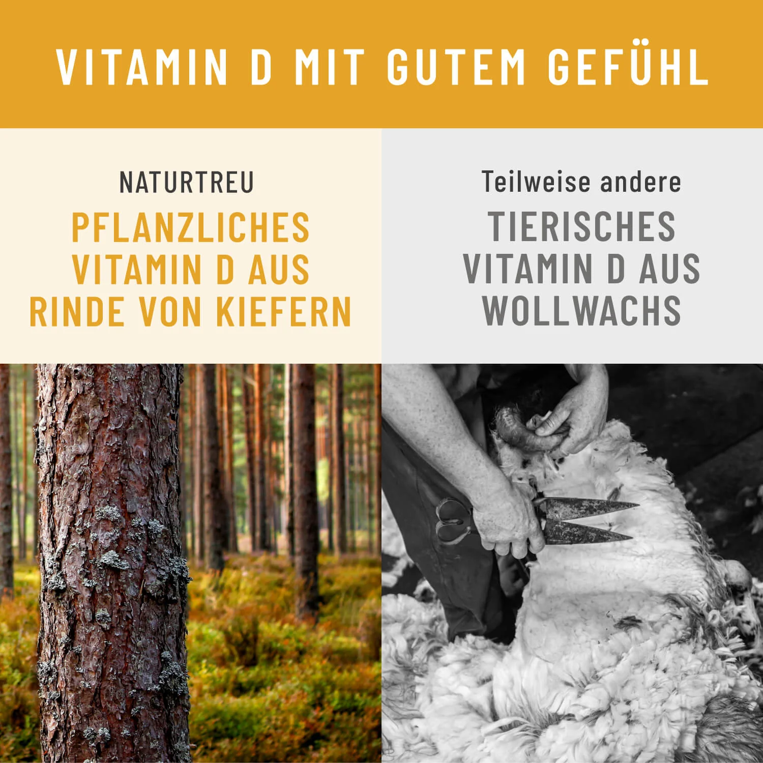 Sonnenschatz: Veganes Vitamin D3 5.000 I.E. mit K2 & Magnesium (5 Tage Depot) - Image 6