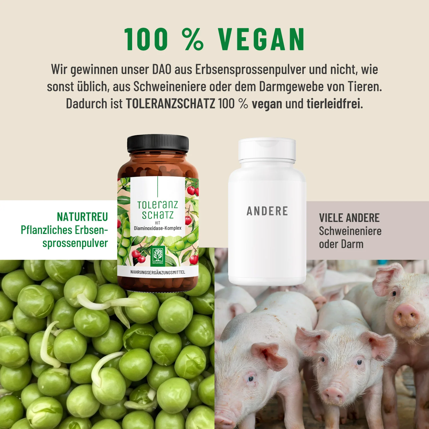 Toleranzschatz: HIT Diaminoxidase (DAO) Komplex - Image 7