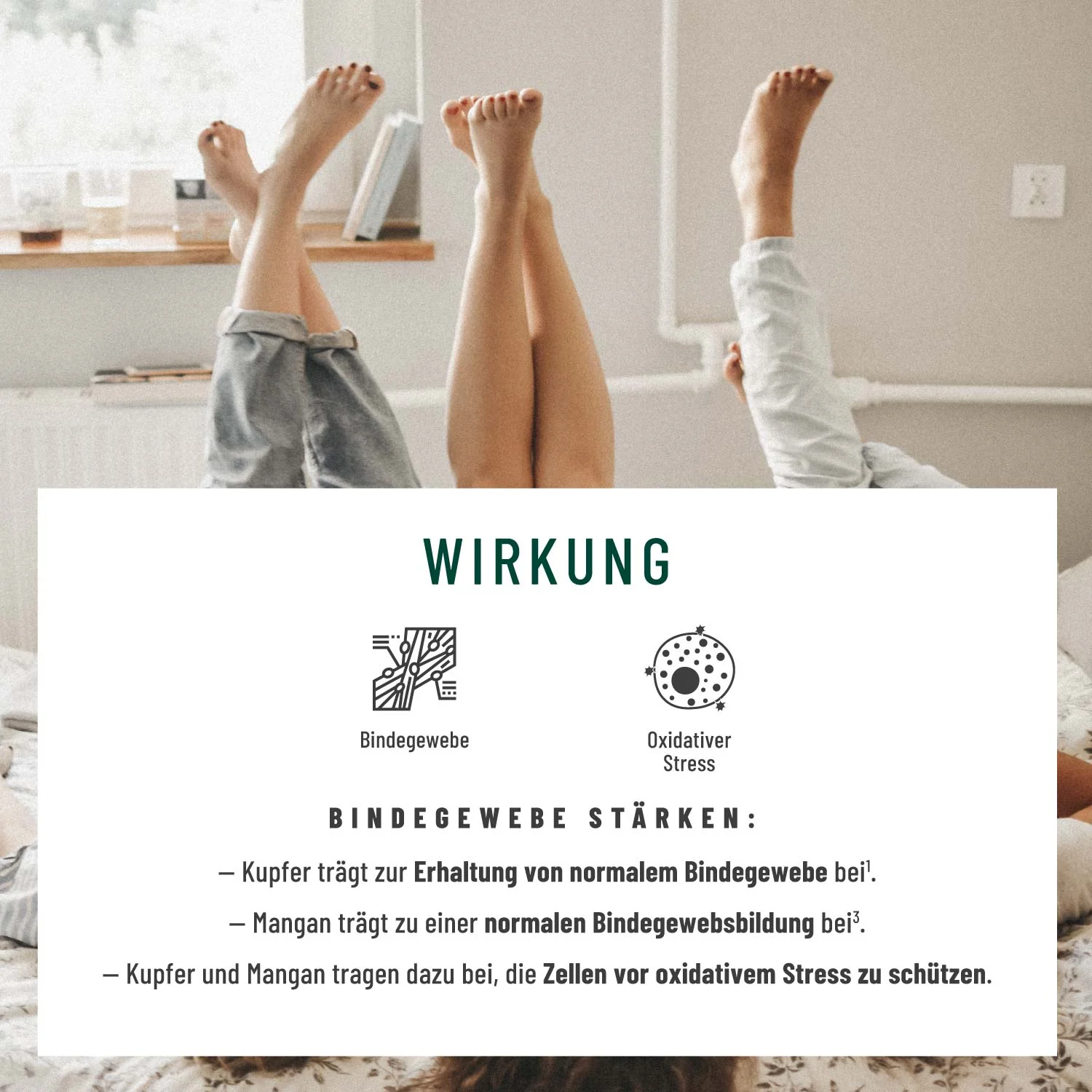 Venenschatz: Rutin & Steinklee Komplex - Image 4