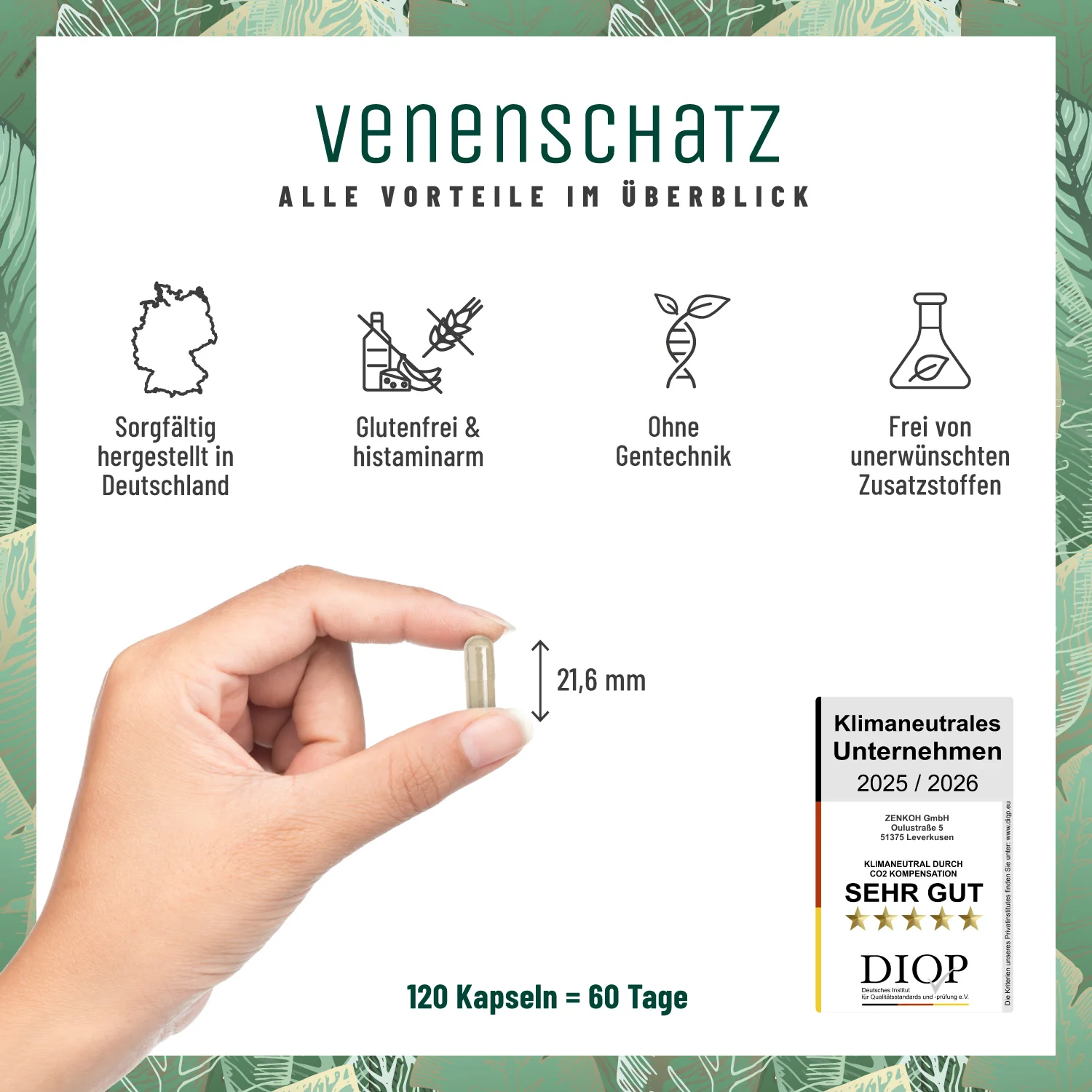 Venenschatz: Rutin & Steinklee Komplex - Image 6